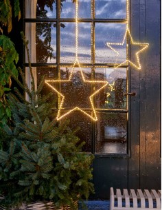 Stella Luminosa 130 Micro... 2