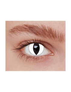 Lentine A Contatto Annuali...