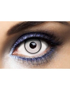 Lentine A Contatto Annuali...