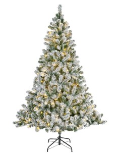 Christmas Tree Everlands...