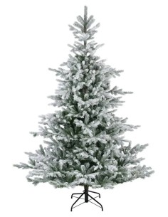 Christmas Tree Grandis...