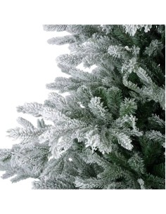 Albero Di Natale Abete... 2