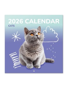 2026 Cats Wall Calendar 30cm