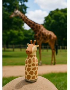 Borraccia Termica In... 2