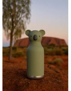 Stainless Steel Thermal... 2