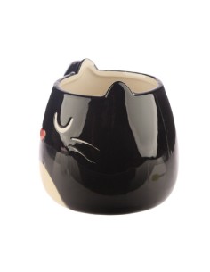 Tazza In Ceramica Feline... 2