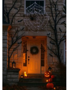 Ragnatela Di Halloween... 2