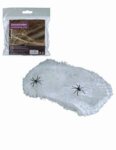 White Spider Web With Two...