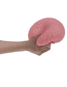 Squishy Antistress Cervello... 2