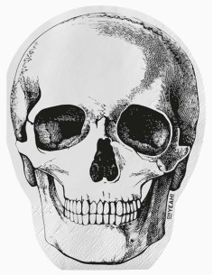 Halloween Skull Napkins