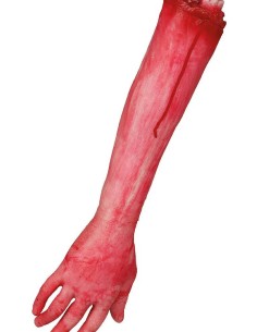 Severed Animated Arm 35cm...