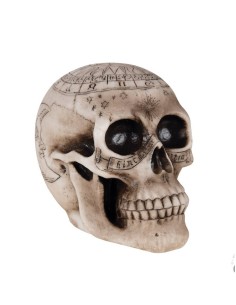 Decorazione Di Halloween...