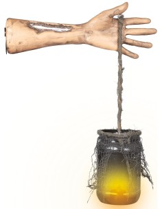 Braccio Decorativo Di...