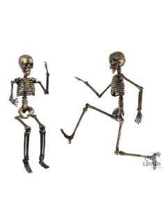 Decorazione Di Halloween...