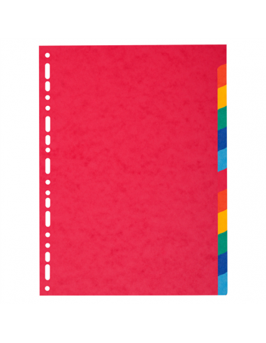 Divisori Carta A4 Separatori per Raccoglitori 12 Colori