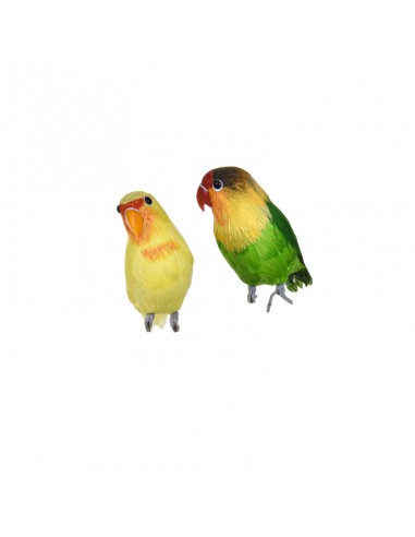 Inseparable Parrot Colored Decorative Assorted 16cm