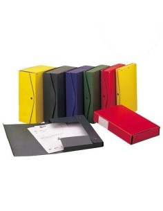 Cardboard Folder Back 8 26x36cm Project Box Assorted Colors