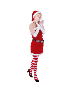 Christmas Costumes Woman One Sizem Miss Claus With Gloves