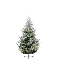 Christmas Tree  Norway Spruce Snowy Prelit Indoor 210cm