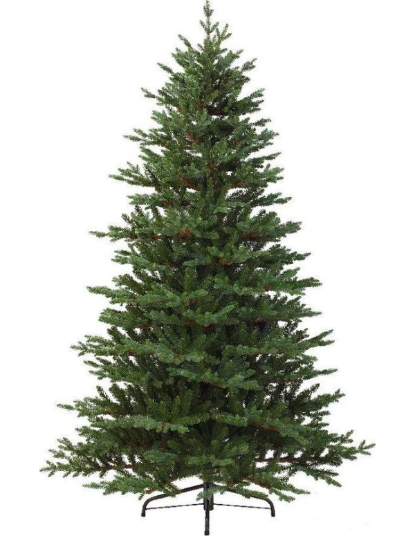 240cm Queensland Fir Green Christmas Tree