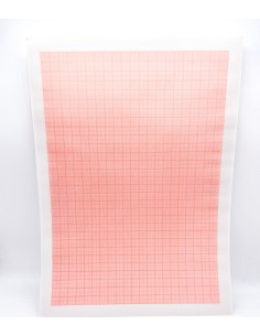 Collated Transparent Graph Paper 10 Sheets A4 80gr