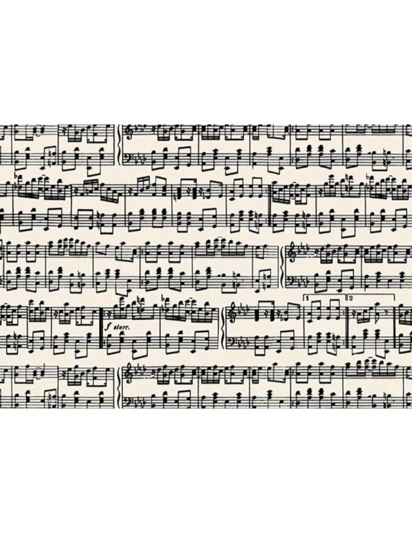 Sheet of Tassotti Paper 70x100cm Patterned Musical Notes 85gr